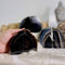 Black Agate Bookend Pair - 1 to 3 lb - Geode Bookend - Home Decor - Crystal and Stones BKE