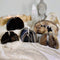 Black Agate Bookend Pair - 1 to 3 lb - Geode Bookend - Home Decor - Crystal and Stones BKE