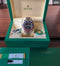 2019 Rolex 126710BLRO, Unworn, Full Set